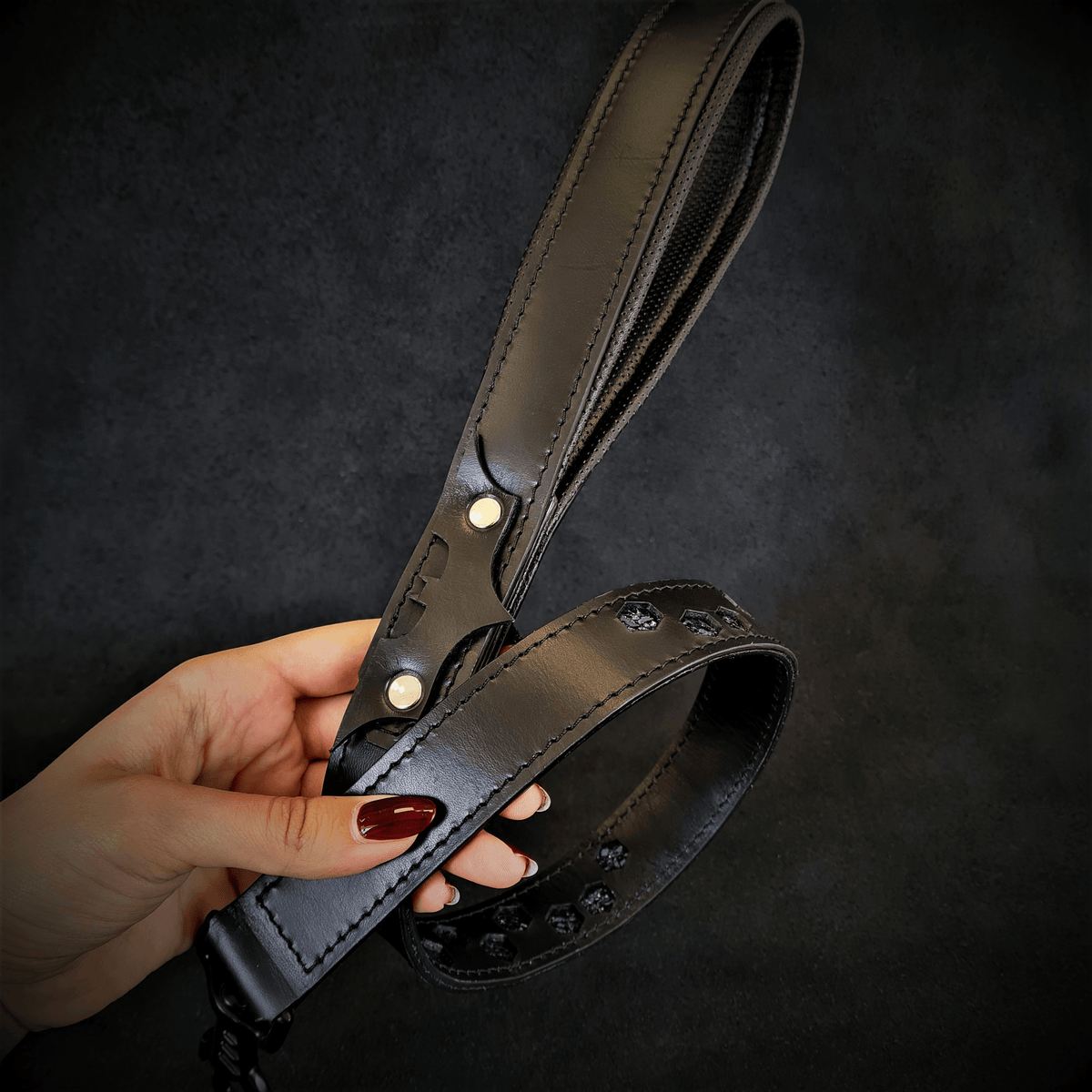 BATDOG Hundeleine aus Leder, Extra robust & gepolstert