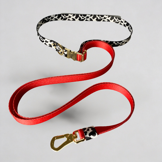 Hands-Free Hundeleine Rouge-1