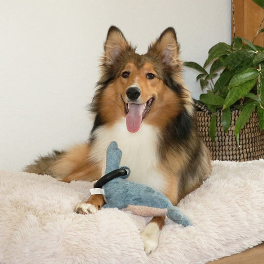 D&D Hundespielzeug Navy Chenille - blau