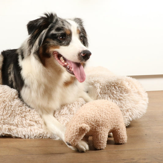 D&D Hundespielzeug Banjo Teddystoff - beige