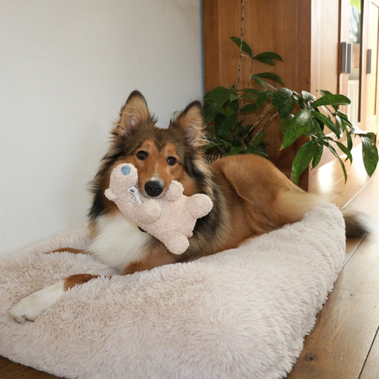 D&D Hundespielzeug Banjo Teddystoff - beige