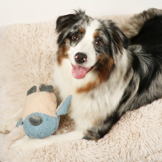 D&D Hundespielzeug Isla Chenille - blau