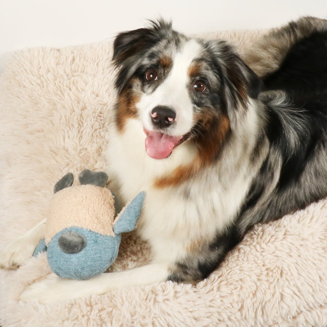 D&D Hundespielzeug Isla Chenille - blau
