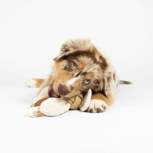 D&D Hundespielzeug Jule - sand