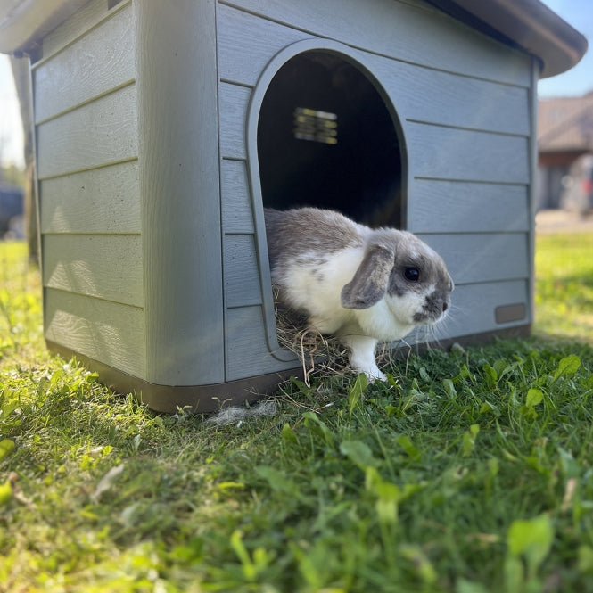 Duvoplus Tierhaus Pepita Eco - grün
