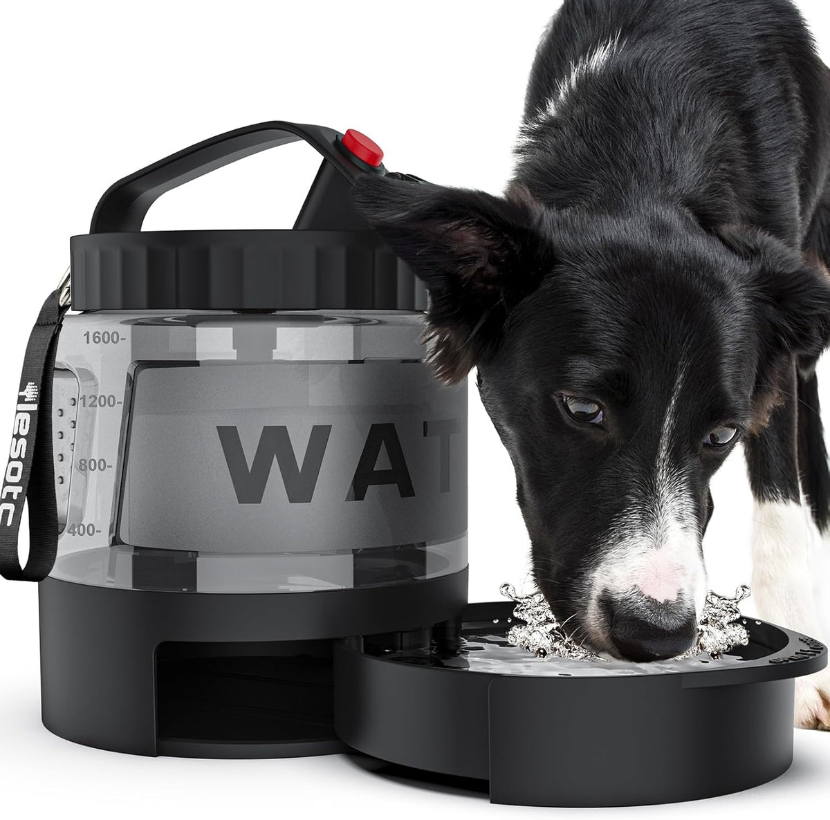 2-in-1 Hunde-Trinkflasche mit Napf – 1,65 L