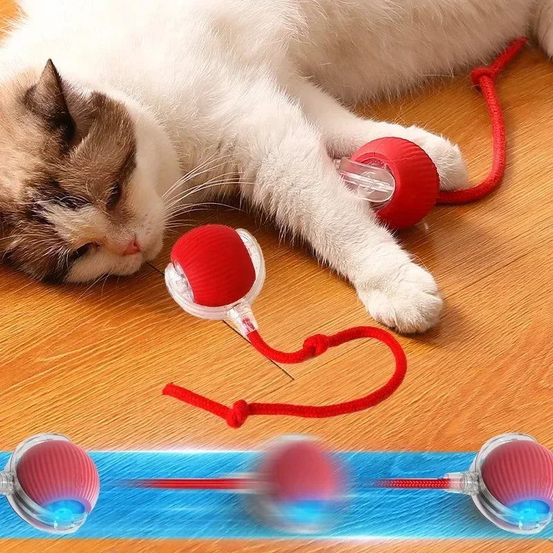 Interactive Toy Cats