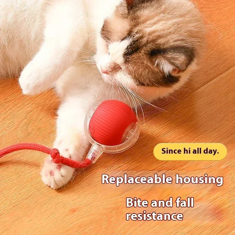 Interactive Toy Cats