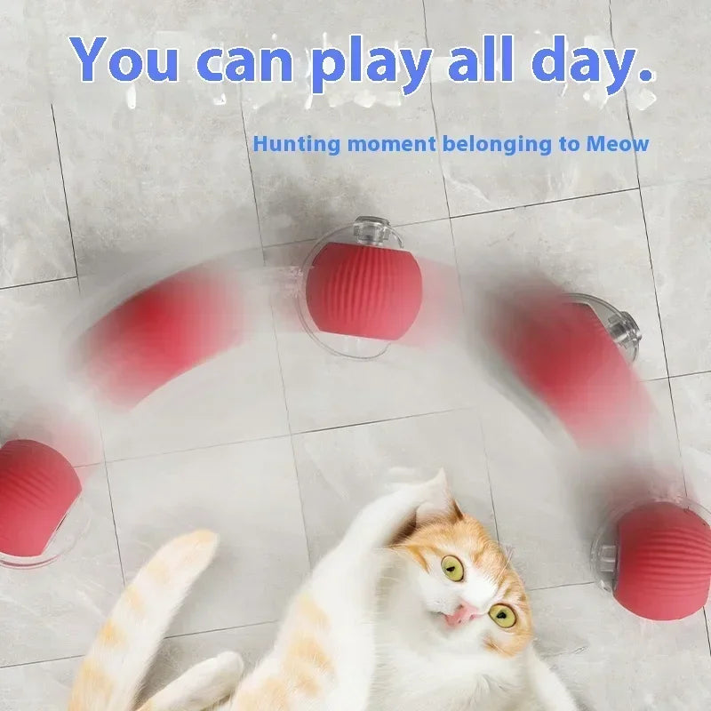 Interactive Toy Cats