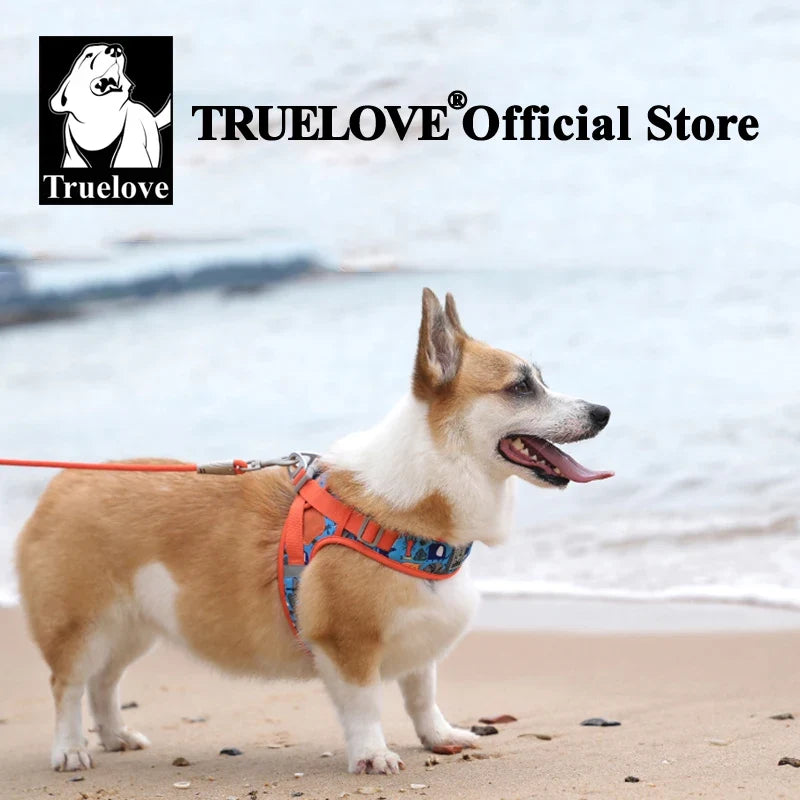 Truelove Floral Mesh Harness for Dogs Cats