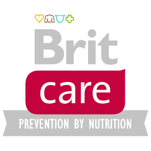 Brit Care logo
