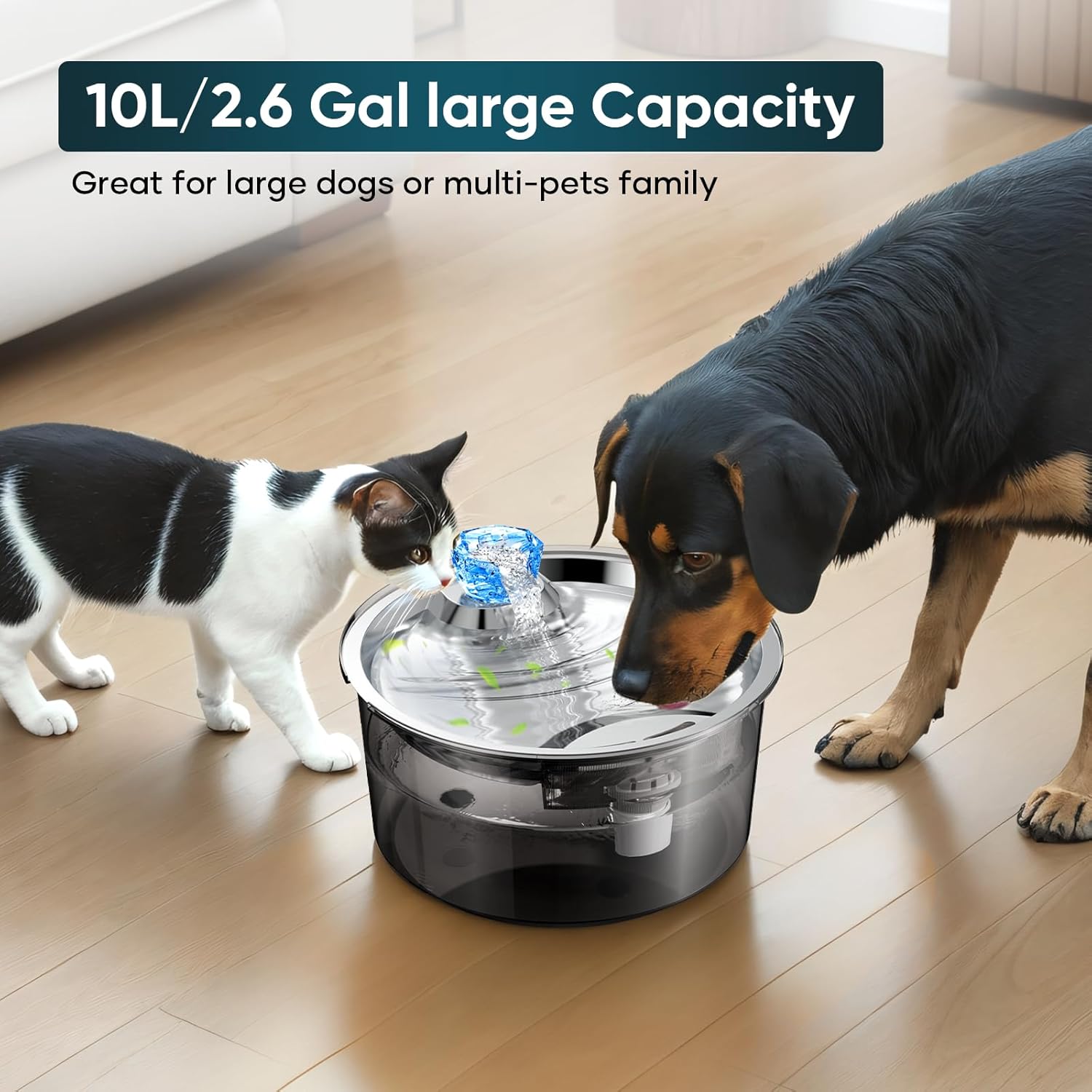 lesotc 10-Liter-Trinkbrunnen für Hunde & Katzen