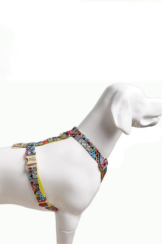 Hundegeschirr Ethnic Vibrance-2