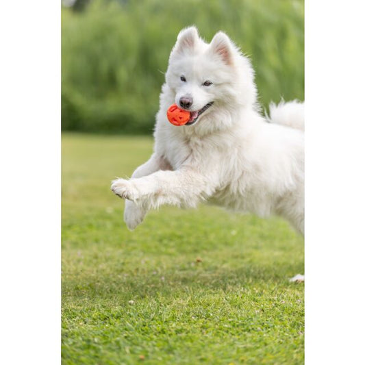 Trixie Wabenball aus TPE - 6cm