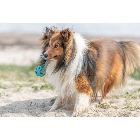 Trixie Wabenball am Seil aus TPE