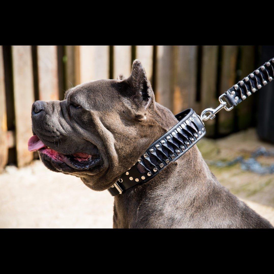 Bestia Steampunk Hundehalsband, Exklusives Design aus Echtleder