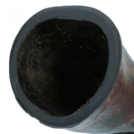Viking Whole Horn